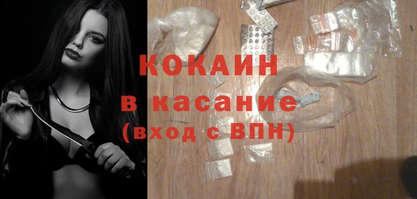 амф Гусь-Хрустальный
