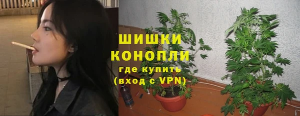 амф Гусь-Хрустальный