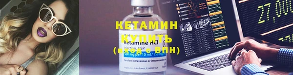 амф Гусь-Хрустальный