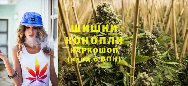 амф Гусь-Хрустальный
