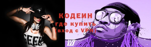 амф Гусь-Хрустальный