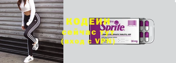амф Гусь-Хрустальный