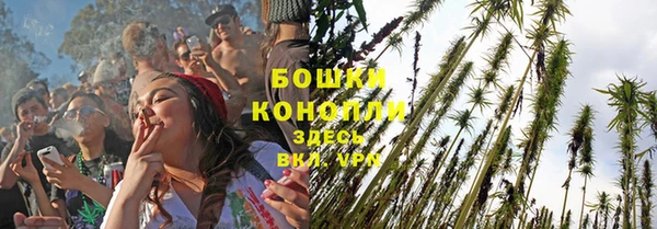 крисы Гусиноозёрск