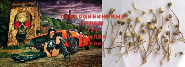 амф Гусь-Хрустальный