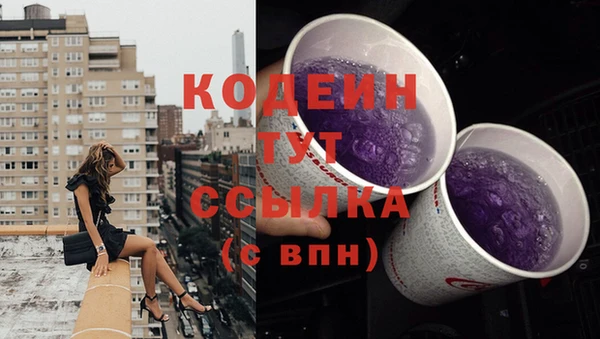 амф Гусь-Хрустальный
