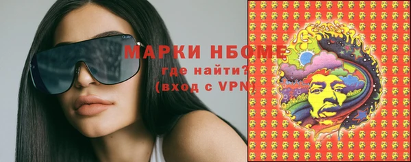 амф Гусь-Хрустальный