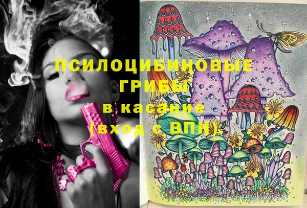 каннабис Гусев